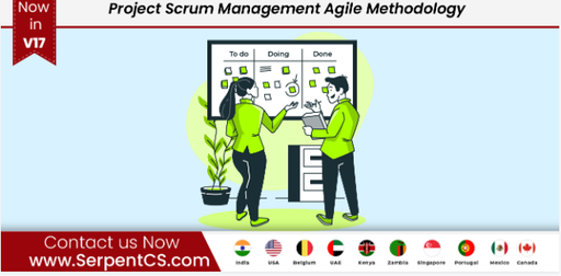 Project Scrum Management Agile Methodology